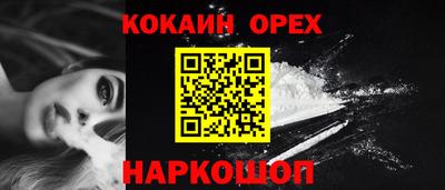 прущие грибы Новозыбков