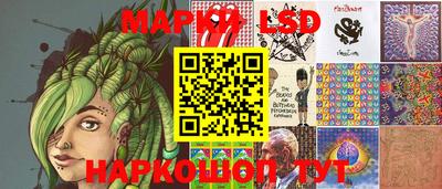 прущие грибы Новозыбков
