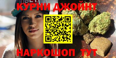 прущие грибы Новозыбков