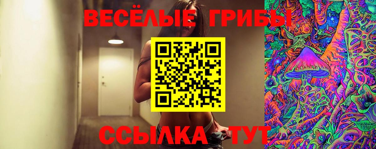 Псилоцибиновые грибы MAGIC MUSHROOMS  Псилоцибиновые грибы Psilocybine cubensis  Вход с VPN  Пенза 
